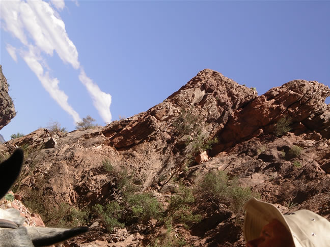 images/A-Mule Ride- returning to the Rim (28).jpg